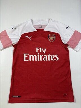 Arsenal 2018 2019 Home Soccer Jersey Puma DryCELL Fly Emirates Men S